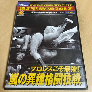 送料込み　燃えろ！新日本プロレス Vol.12 プロレスこそ最強！嵐の異種格闘技戦　DVD