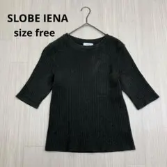 SLOBE IENA リブ 5分袖 Tシャツ カットソー ラメ入り free