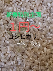 １円〜　令和６年産　石川県産コシヒカリ　１０Kg　白米　能登米　精米　１０キロ　農家直送