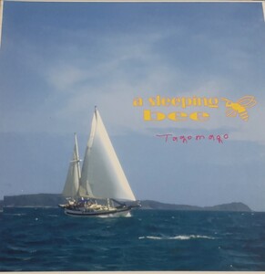 【TAGOMAGO/A SLEEPING BEE】 TRANSONIC RECORDS/国内CD