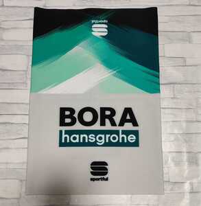 支給品 BORA Hansgrohe ネックウォーマー　ボーラハンスグローエ　サイクルジャージ　ペーター・サガン　ロード　ロードバイク　自転車