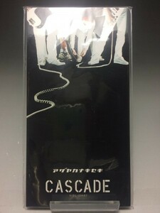 ★送料無料★ 未開封 8cm CD CASCADE カスケード「アザヤカナキセキ」 ◆F142