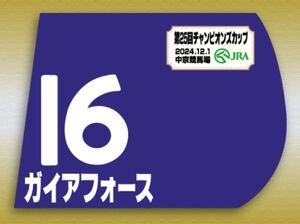 ガイアフォース　2024年チャンピオンC ミニゼッケン　競馬　JRA ウマ娘　 ゼッケン