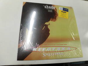 12LP 杉山清貴/shade