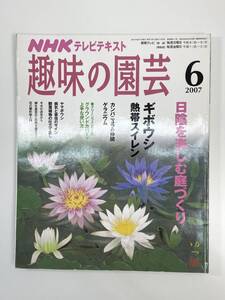 NHK 趣味の園芸　6月　2007年　ギボウシ　ヤマボウシ【z108585】