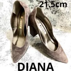 【状態良好】DIANA　グレー　スエード　チャンキーヒール　21.5㎝