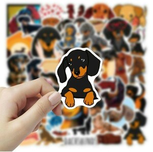 新品 ダックスフンド ステッカー シール 防水シール 犬 ワンちゃん ペット