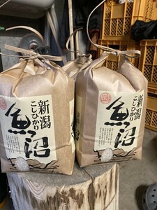 令和６年産新米魚沼産コシヒカリ従来品種10キロ×2！