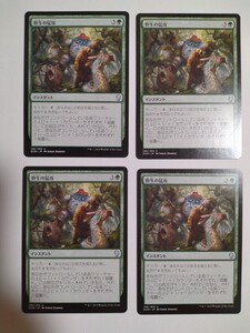 MTG マジックザギャザリング 野生の猛攻 日本語版 4枚セット