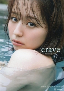 小池里奈写真集 crave/菊地泰久(写真家),小池里奈(タレント)