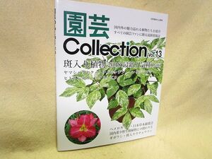 『園芸 Collection　Ｖｏｌ．１３』（斑入り植物）ヤマシャクヤク　トチバニンジン　フタリシズカ