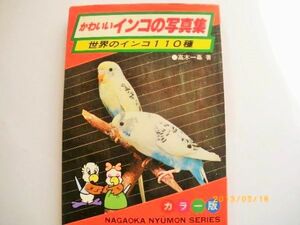 昭和５４年７月５日初版中古本当時物「かわいいインコの写真集」