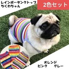 新品 犬服 2色セット ちくわちゃん レインボータンクトップ