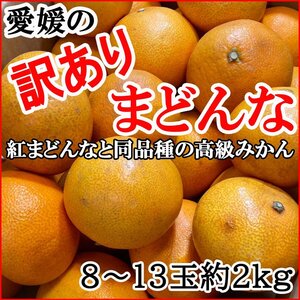 【Good】大量30箱出品中！高級柑橘・紅まどんなと同品種！愛媛の訳ありまどんな 8～13玉 約2kg ご予約