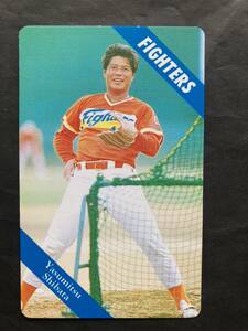 カルビープロ野球カード 93年 No.137 柴田保光 日本ハム 1993年 (検索用) レアブロック ショートブロック ホログラム 地方版 エラー