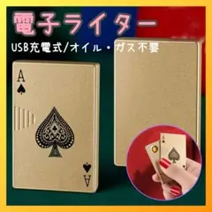 ✨人気商品✨電子 ライター　USB 充電式　プラズマ　オイル ガス 不要　金