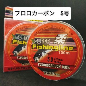 フロロカーボン 5号 ハリス　道糸　ショックリーダー　釣り糸 透明　平行巻き リーダー フロロライン