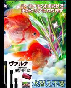 水槽の水が綺麗になります【ヴァルナ15センチ】病原菌や感染症を抑制し透明度が抜群になります！水槽に筒を入れるだけ！３年水替え不要です