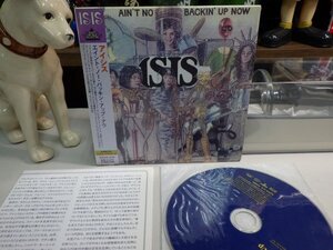 星4｜★CD / Muskrat Records 2007, papersleeve紙ジャケット / w/OBI / 廃盤★Isis - Ain