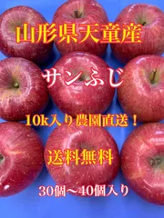 お買い得品❗️山形県産サンふじ10㌔