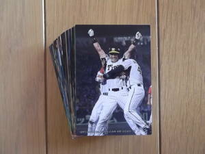 2009 Calbee Baseball Card まとめて