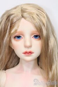 SPIRITS DOLL/Centaurea S-24-12-08-396-GN-ZS