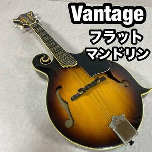 Vantage フラットマンドリン flat mandolin 虎杢