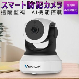 防犯カメラ 屋内用 C24 100万画素 AI機能搭載 ONVIF対応 WiFi 無線 MicroSDカード録画 遠隔監視 ネットワーク カメラ PSE 技適「C24.A」