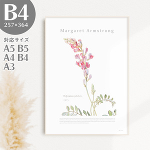 BROOMIN アートポスター ヘディサルム 植物 自然 花 ピンク 絵画ポスター イラスト B4 257×364mm AP036