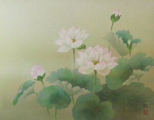 ◆◇掛軸 遠田一成 蓮 尺八横 現代作家新作掛軸 hanging scroll◇◆夏 年中掛け 普段掛け 日本画 JY1916