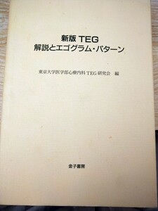 新版ＴＥＧ 解説とエゴグラムパターン／東京大学医学部心療内科ＴＥＧ研究会 (編者) 　金子書房　