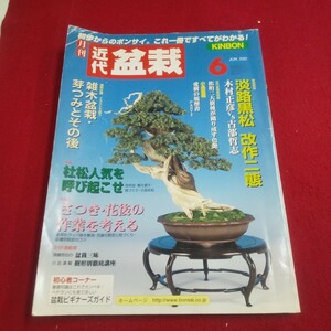 M7j-170 月刊近代盆栽 2001年6月号 雑木盆栽・芽つみとその後 杜松人気を呼び起こせ さつき・花後の作業を考える 