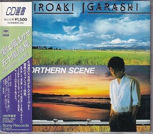 CD 五十嵐浩晃 愛は風まかせ NORTHERN SCENE