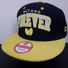 LANDTAYLOR WU-TANG FOREVER SNAPBACK