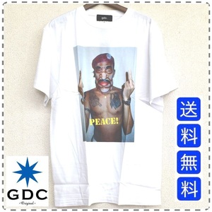 GDC ジーディーシー 綿100% 半袖Tシャツ 丸首 フォトグラファー 新田桂一 KeiichiNitta 白 ユニセックス メンズXSサイズ 送料無料 A363