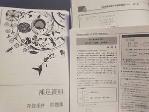 鉄緑会　20年度最新　森嶋先生　高3数学SA　存在条件解説資料フルセット　問題集・テスト・テーマ講義　上位クラス専用　駿台　河合塾 東進