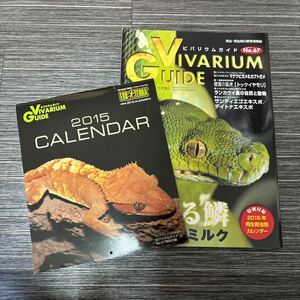 VIVARIUM GUIDE ビバリウムガイド No.67/アクアライフ 11月号増刊/帰ってきた 輝ける鱗 キング&ミルク/トッケイ ヤモリ/自然と動物★1509-3