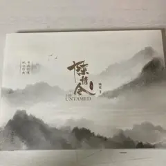 破棄予定！最終価格！陳情令 中国版 公式設定資料集  肖戦 王一博