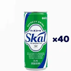 人気商品～南日本酪農協同 デーリィ スコール 缶 250ml×40本(2CS)