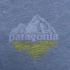 1998年 米国製 ビンテージ Patagonia Tシャツ