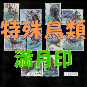 3660βM1★使用済 1983-84【特殊鳥類 満月x10 10種完】S/S除く◆内容・状態は画像だけでご判断◆送料特典⇒説明欄