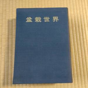 古雑誌 盆栽世界 昭和51年1月～12月 樹石社 昭和レトロ 古本 古書 【3196】