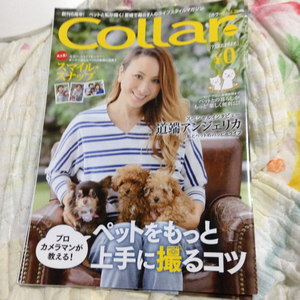 カラー collar 犬 冊子 道端アンジェリカ 新品