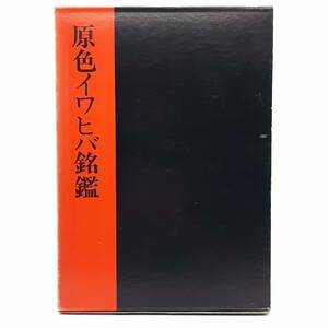 原色イワヒバ銘鑑　第1版