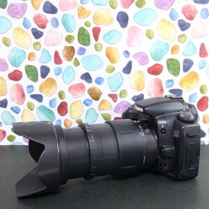 ◇Canon キャノン EOS 20D ◇おすすめ入門機♪ ◇近くも遠くもOK♪