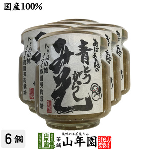 国産 おばあちゃんの青とうがらし味噌 100g×6個セット ごはんのお供 送料無料