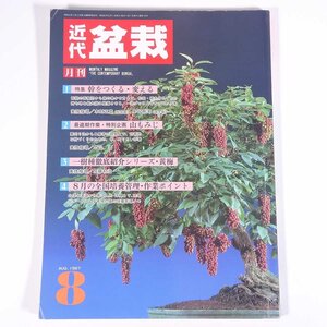 月刊 近代盆栽 No.118 1987/8 近代出版 雑誌 盆栽総合誌 園芸 ガーデニング 植物 特集・幹をつくる・変える 松柏篇・雑木篇 山もみじ ほか