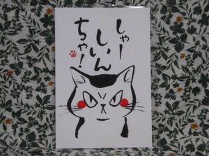 POST CARD◆北九州弁猫絵葉書＜しゃーしいんちゃ＞手書き本画仙紙◆ポストカード/ネコ/CAT