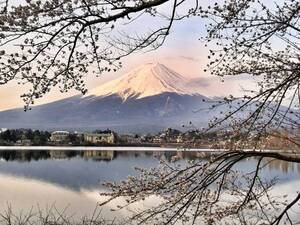 世界遺産 富士山 写真 27 A4又は2L版 額付き