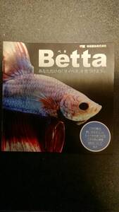 【中古】Betta　ベタ　リーフレット